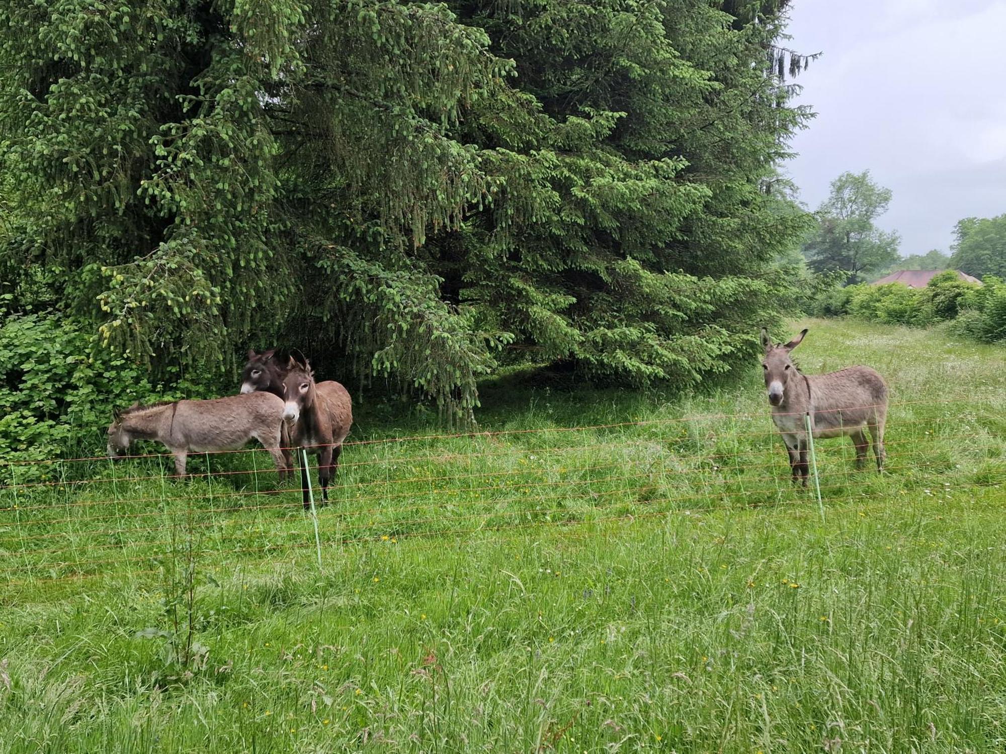 Maison Du Bonheur Gan Pokój zdjęcie